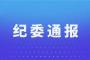 菏泽东明县纪委监委通报3起群众身边不正之风和腐败问题！